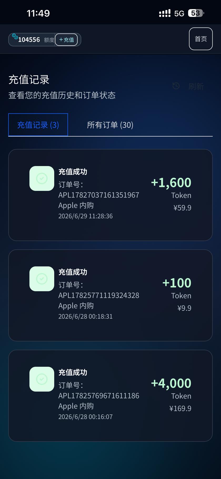 充值记录
